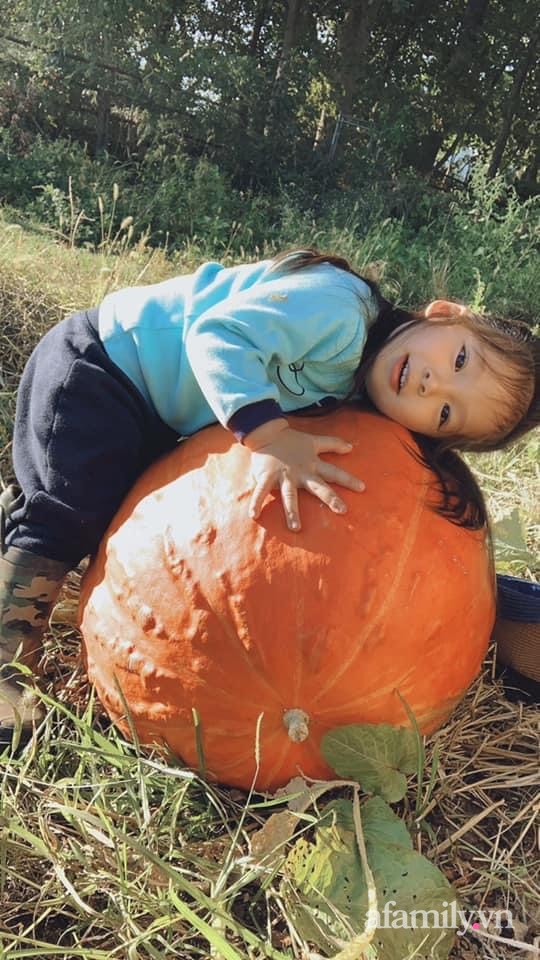 Khu vườn của mẹ Việt sai trĩu rau củ với kích thước khủng-12