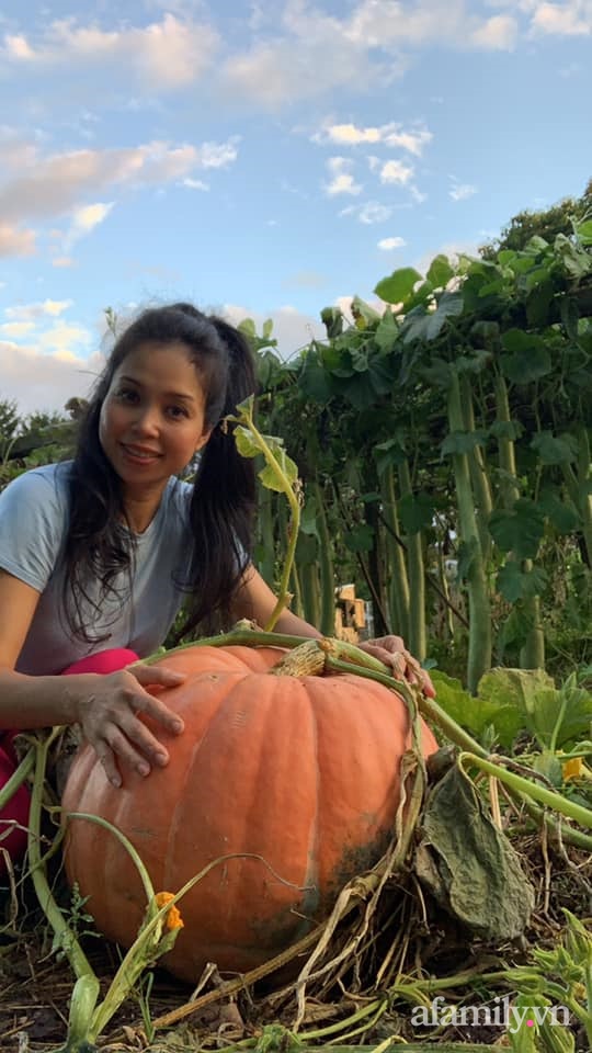 Khu vườn của mẹ Việt sai trĩu rau củ với kích thước khủng-14