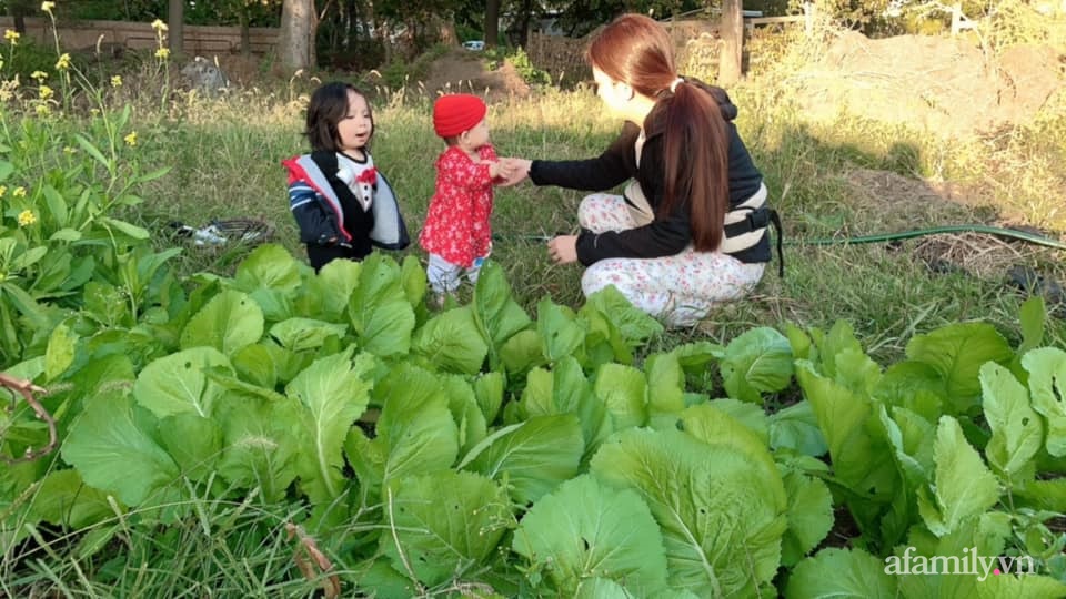 Khu vườn của mẹ Việt sai trĩu rau củ với kích thước khủng-17