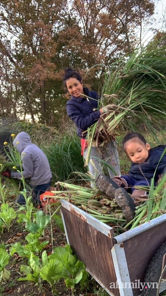 Khu vườn của mẹ Việt sai trĩu rau củ với kích thước khủng-24