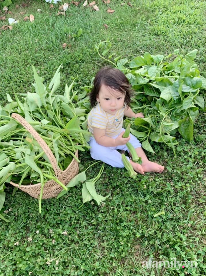 Khu vườn của mẹ Việt sai trĩu rau củ với kích thước khủng-25