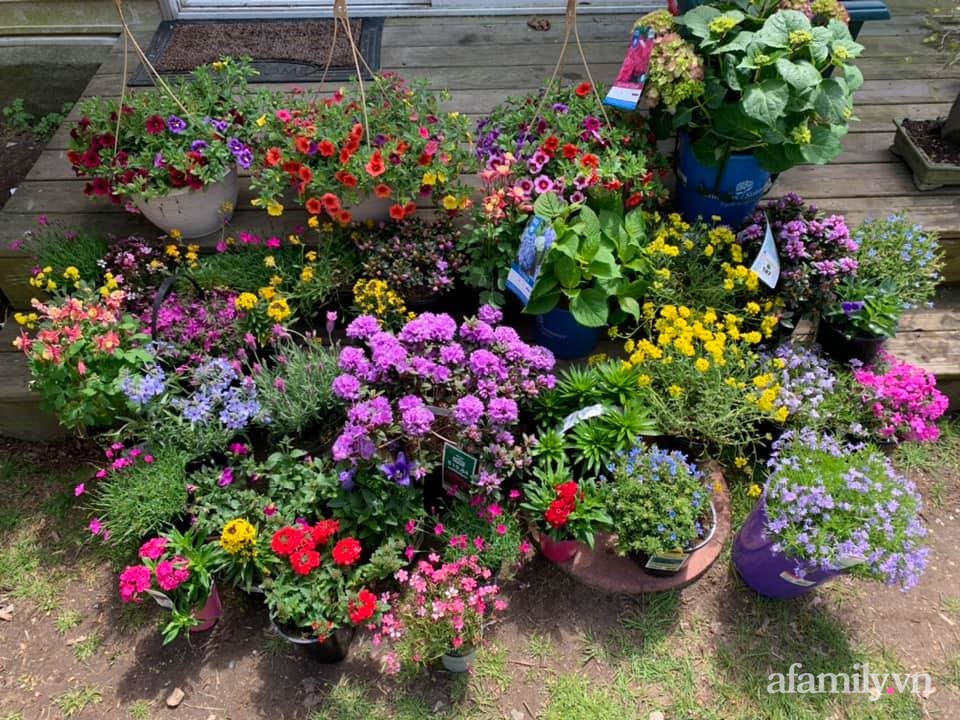 Khu vườn của mẹ Việt sai trĩu rau củ với kích thước khủng-27