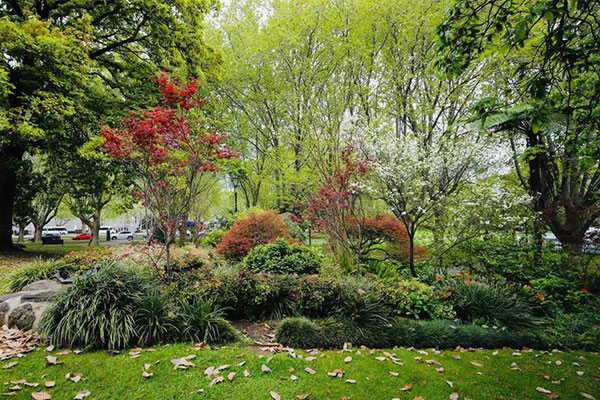 Bố tôi sống quá khổ khi lấy vợ ở tuổi 80-1