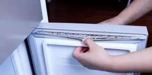 Dải tủ lạnh nhà bạn có bị bẩn và ố không? Mách bạn một mẹo nhỏ, ngay lập tức sạch sẽ như mới-1