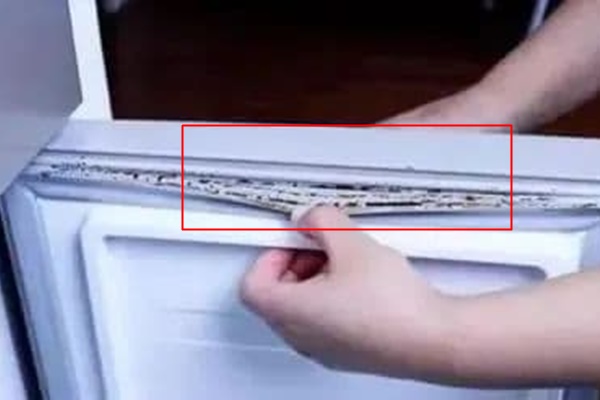 Mách nhỏ chị em cách bảo quản cá tươi tại nhà không lo cá bị ươn-4