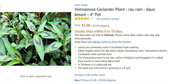 Rau răm ở Việt Nam 2.000 đồng/mớ, sang nước ngoài 250.000 đồng/mớ, còn phải chờ 6-10 ngày mới đến lượt mua-6