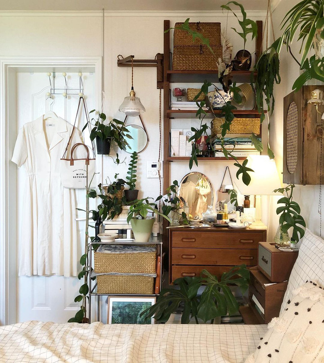 Gái xinh chơi hệ decor với toàn cây là cây, nếu muốn học theo thì bạn phải cân nhắc 4 điều kẻo chết dở-4