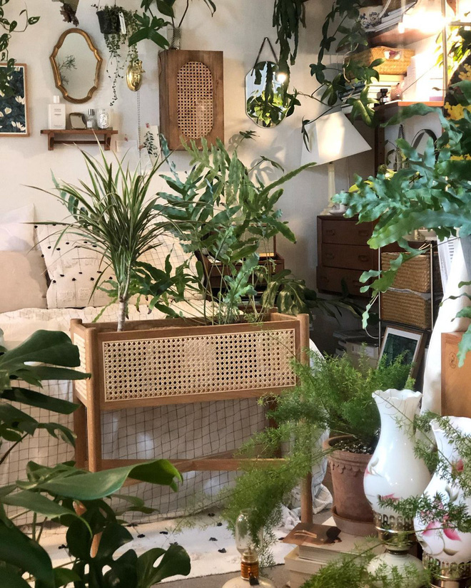 Gái xinh chơi hệ decor với toàn cây là cây, nếu muốn học theo thì bạn phải cân nhắc 4 điều kẻo chết dở-7