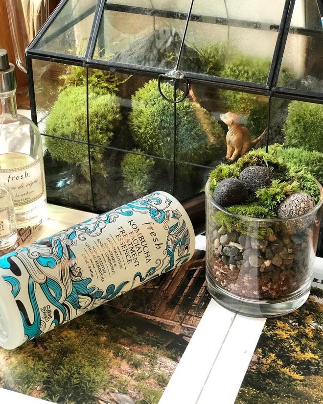 Gái xinh chơi hệ decor với toàn cây là cây, nếu muốn học theo thì bạn phải cân nhắc 4 điều kẻo chết dở-8