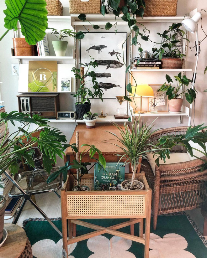 Gái xinh chơi hệ decor với toàn cây là cây, nếu muốn học theo thì bạn phải cân nhắc 4 điều kẻo chết dở-9