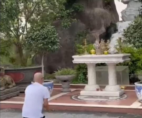 Nghệ sĩ Tấn Hoàng bất ngờ cạo đầu và ăn chay, tiết lộ lý do khiến dân mạng ngỡ ngàng-5
