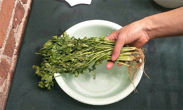 Vào mùa hè, phải làm gì nếu rau vừa mua về nhà đã bị héo? Mách bạn một mẹo nhỏ, rau sẽ tươi xanh như mới mua-4