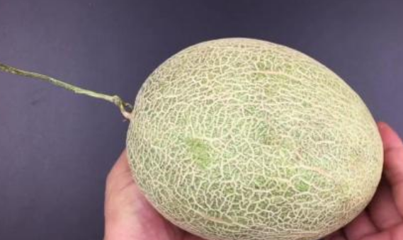 3 bí quyết chọn dưa lưới tươi ngon, ngọt lịm, giòn thơm-5