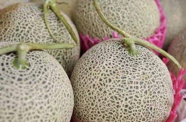 3 bí quyết chọn dưa lưới tươi ngon, ngọt lịm, giòn thơm-4