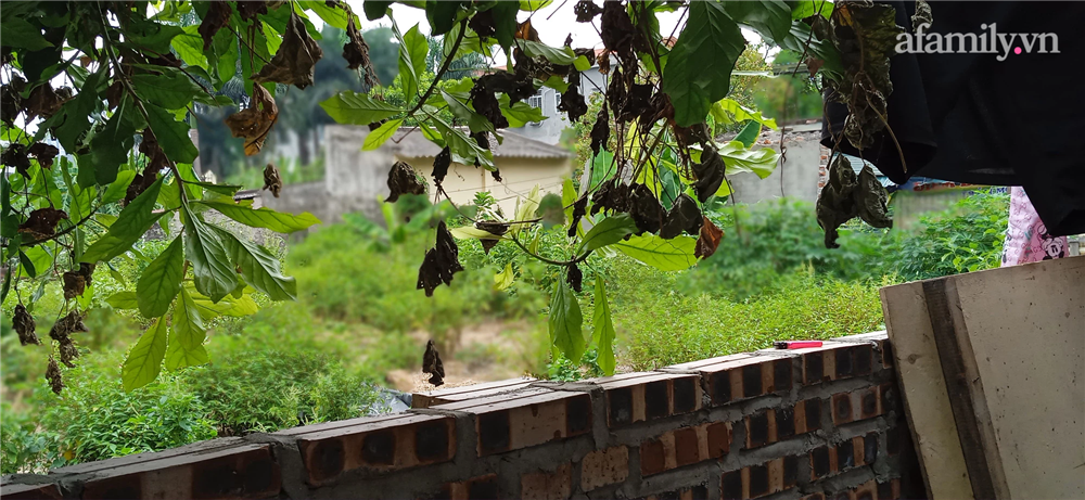 Cơm độn mì tôm và trưa hè giãn cách của lao động ngoại tỉnh ở Hà Nội: Những ngày thảnh thơi là những ngày đáng sợ nhất-5