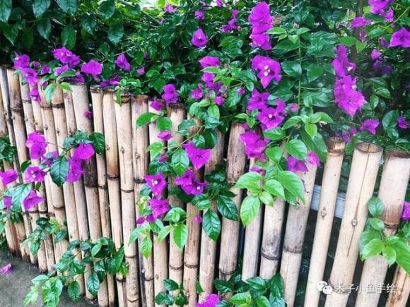 Có những bảo bối này trong nhà thì tài lộc đến ngay, giàu có trong nháy mắt cũng dễ hiểu-10