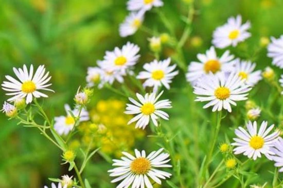 Nỗi ân hận của người đàn bà ngoại tình, bỏ chồng theo người mới