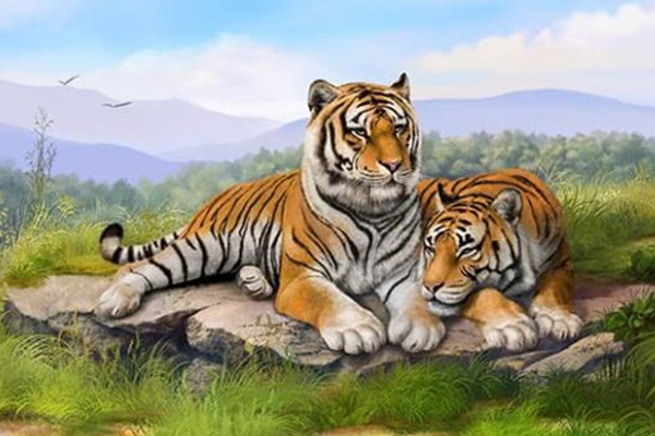 10 ngày đầu trong tháng 7 âm lịch, 3 con giáp có quý nhân chiếu cố, tranh thủ nắm bắt thời cơ để vượt qua tháng khó khăn này-4