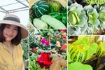 Video: Mãn nhãn vườn rau xanh theo mùa trên sân thượng nhà 5 tầng ở Hà Nội-1