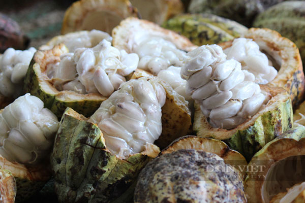 Năm loại trái cây không hạt làm mưa làm gió trên thị trường-6