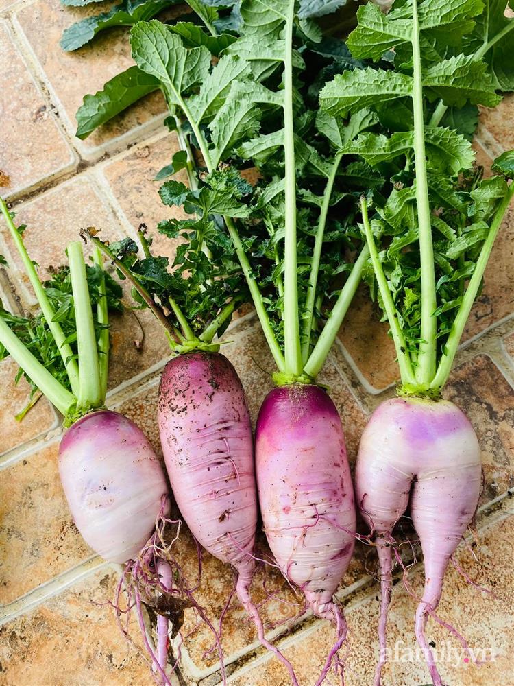 Sân thượng nhỏ rau gì cũng có của nữ giảng viên ở Đà Lạt giúp gia đình an yên giữa mùa dịch-14