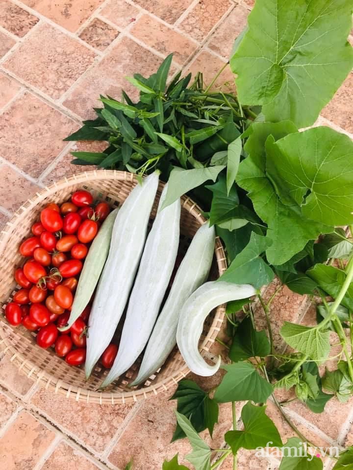Sân thượng nhỏ rau gì cũng có của nữ giảng viên ở Đà Lạt giúp gia đình an yên giữa mùa dịch-19