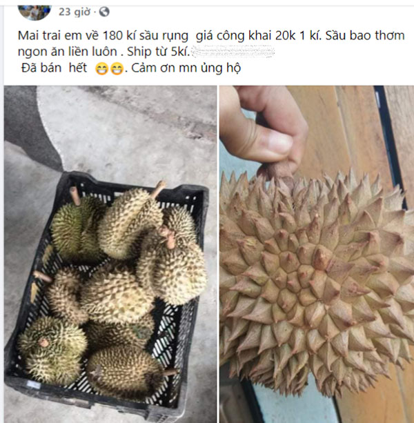 Sầu riêng giá chỉ 20.000 đồng/kg, ai nhanh tay mới mua được-1