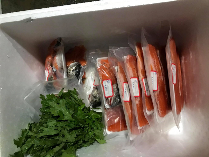 Cá hồi liên tục giảm giá, người nuôi lâm cảnh nợ nần-2