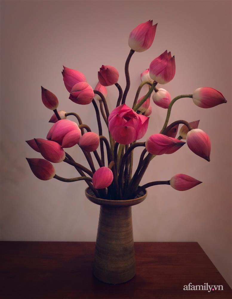 Căn nhà cấp 4 bình dị bên khu vườn xanh mát đầy an yên ở Đắk Lắk-14