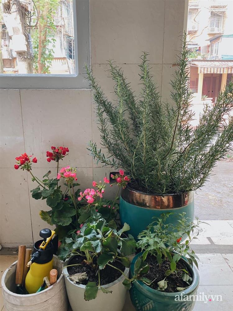 Căn bếp 10m² trong nhà tập thể cũ vừa thông thoáng vừa tiện ích của bà mẹ trẻ thích nội trợ ở Hà Nội-12