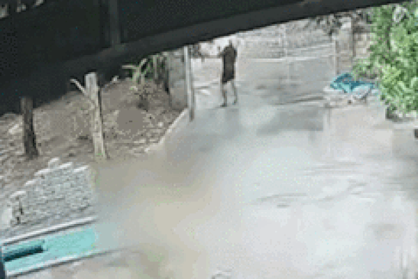 Đứng vào điểm mù xe tải lớn, người phụ nữ có màn ‘thoát thân’ may mắn-1