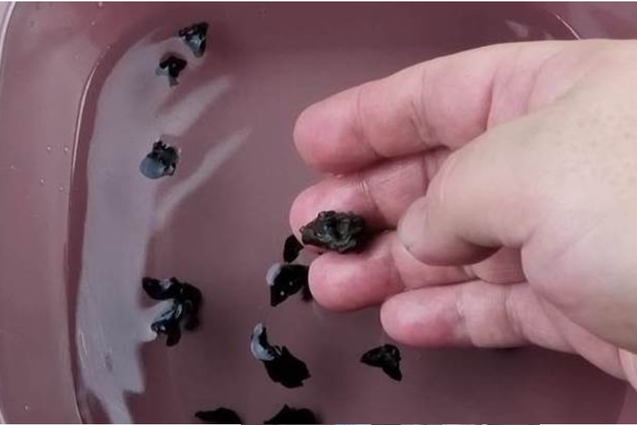 Ngâm mộc nhĩ trực tiếp vào nước tương đương với việc đưa trứng côn trùng vào người, mách bạn một mẹo, tất cả những chất bẩn sẽ biến mất hoàn toàn-2