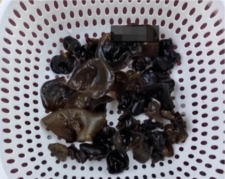 Ngâm mộc nhĩ trực tiếp vào nước tương đương với việc đưa trứng côn trùng vào người, mách bạn một mẹo, tất cả những chất bẩn sẽ biến mất hoàn toàn-7