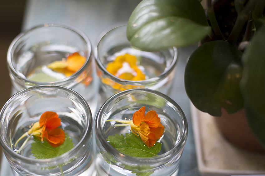 Cải tạo căn nhà tập thể cũ thành không gian nhỏ xinh ấn tượng đến bất ngờ-3