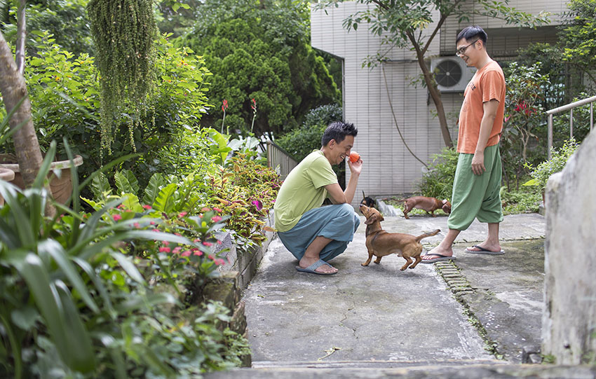 Cải tạo căn nhà tập thể cũ thành không gian nhỏ xinh ấn tượng đến bất ngờ-4