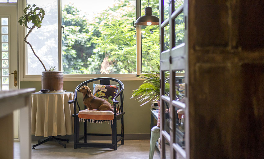 Cải tạo căn nhà tập thể cũ thành không gian nhỏ xinh ấn tượng đến bất ngờ-10