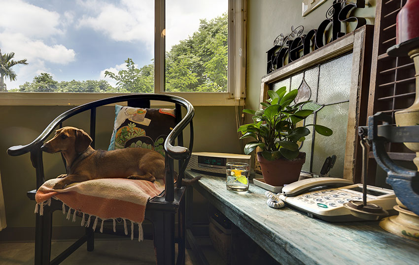 Cải tạo căn nhà tập thể cũ thành không gian nhỏ xinh ấn tượng đến bất ngờ-18