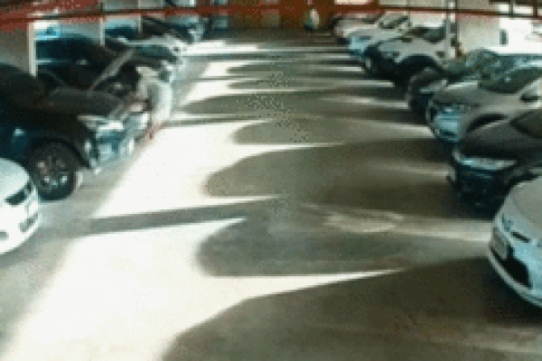 Quên kéo phanh tay khi kiểm tra động cơ, nữ tài xế gặp tai nạn bất ngờ