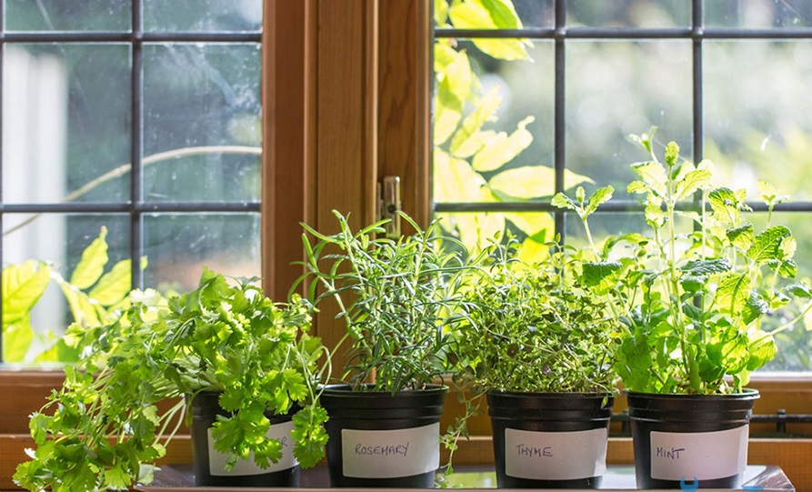 Còn đi siêu thị theo 10 kiểu này thì bạn đừng than trách tại sao tốn tiền-7