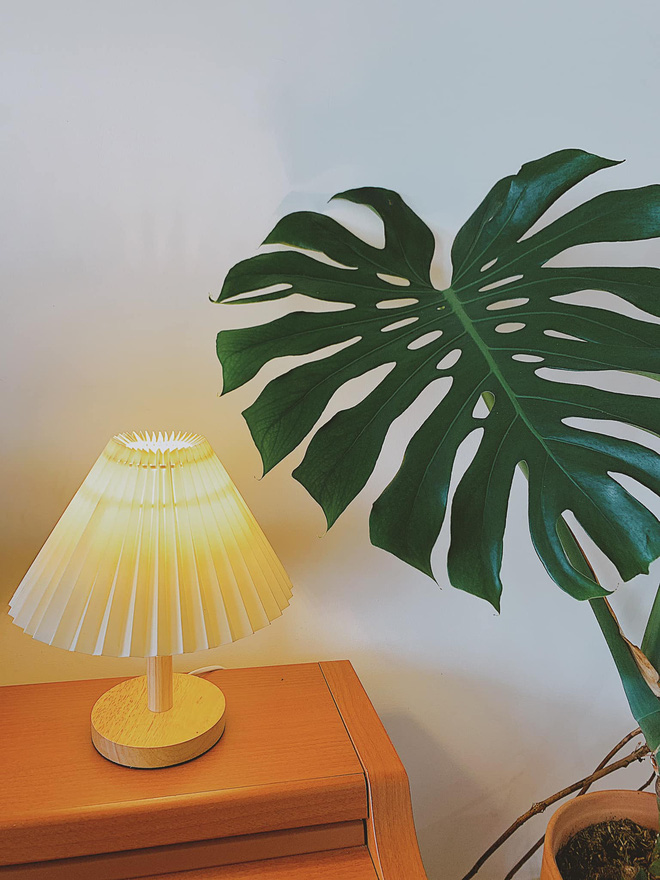 Không đủ tiền thuê KTS, mẹ bỉm tự thiết kế nhà với style vintage pha trộn boho, thành quả xinh yêu hết nấc-6