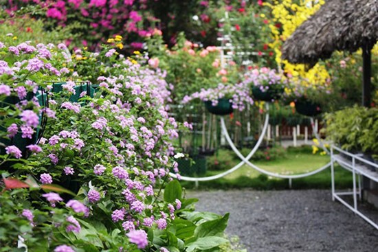 Vợ tức nghẹn trước lời tuyên bố của gã chồng bội bạc