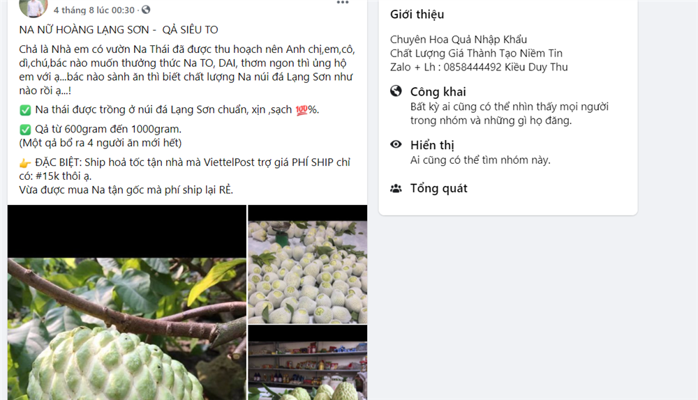 Nữ hoàng Lạng Sơn hút khách khi bán online giá chỉ 15.000 đồng/kg-4