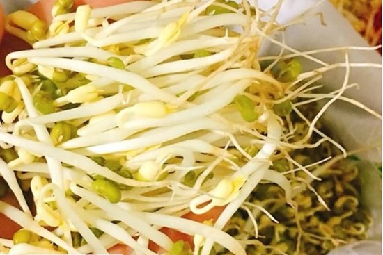 Đi chợ mua giá đỗ thấy điểm này thì nhớ tránh xa, đừng dại mua về kẻo tiền mất tật mang