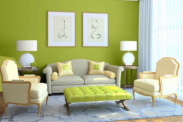 Điểm danh 7 loại cây cảnh cực dễ chăm dành cho người mới trồng-9