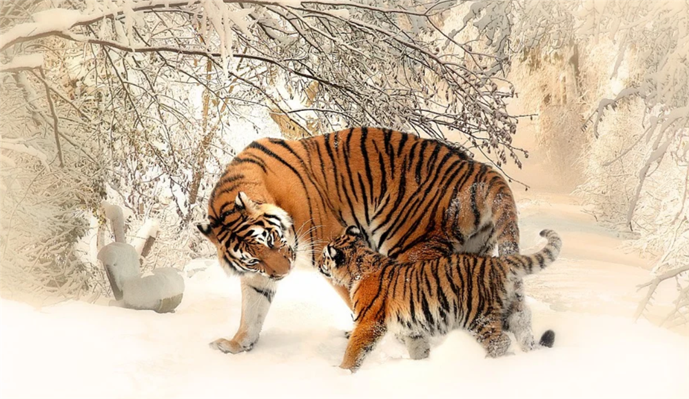 3 con giáp đỏ nhất trong tháng 8, kinh doanh đắc lộc, thu hái bộn tiền-2