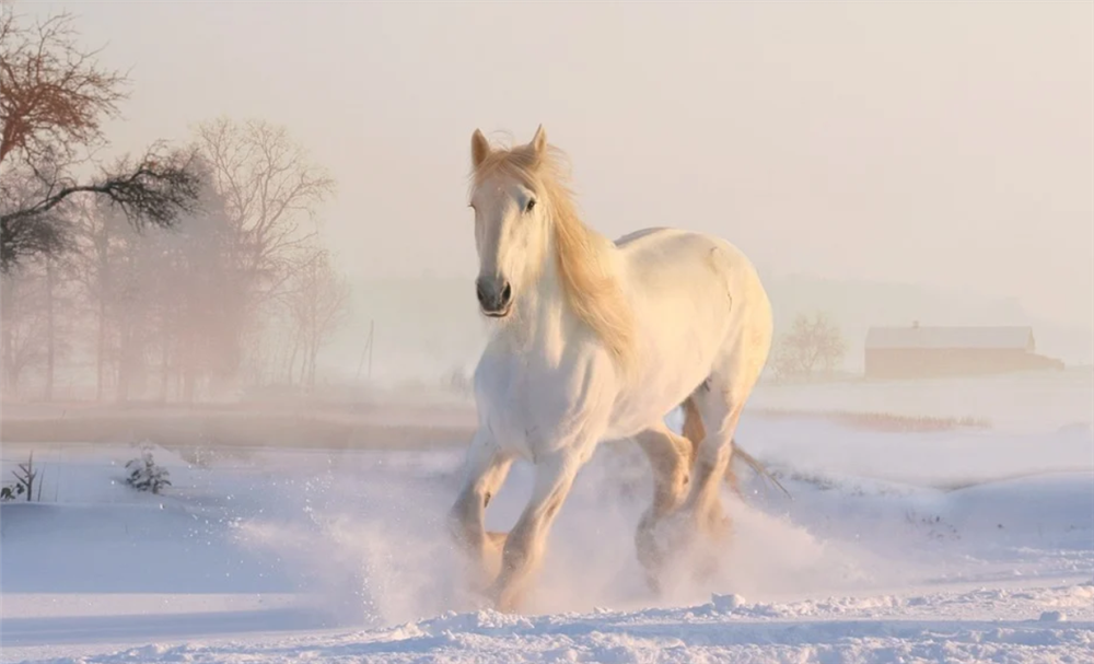 3 con giáp đỏ nhất trong tháng 8, kinh doanh đắc lộc, thu hái bộn tiền-3