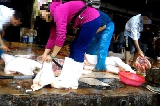 Hà Nội: 2 ca mắc mới, tìm người liên quan lò mổ lợn lớn nhất khu vực Thanh Oai