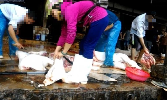 Hà Nội: 2 ca mắc mới, tìm người liên quan lò mổ lợn lớn nhất khu vực Thanh Oai-1