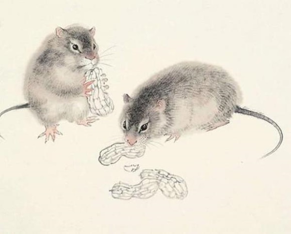 Thu sang, 3 con giáp gặp nhiều may mắn, có thể sắm nhà lầu xe hơi trong tầm tay-1