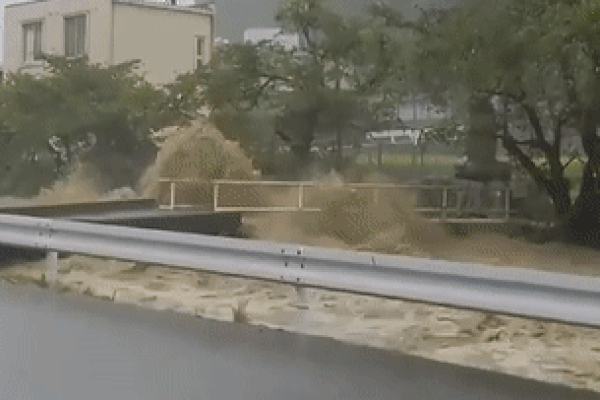 Khoảnh khắc 2 mẹ con vật lộn giữa dòng lũ xiết và cái kết may mắn-1